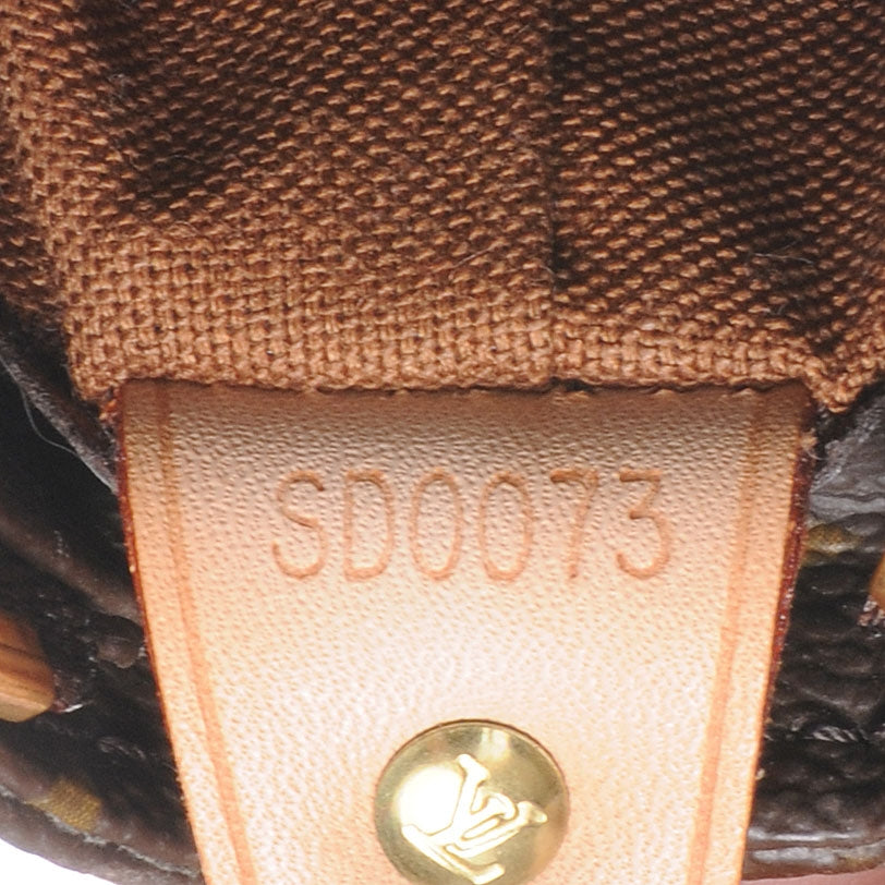 Monogram Cabas Mezzo