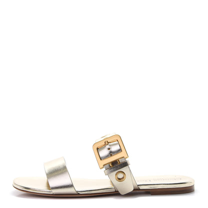 Christian Dior Laminated Calfskin D-Dior Slide Flat Sandals 39.5 Pale Gold 1 of 9