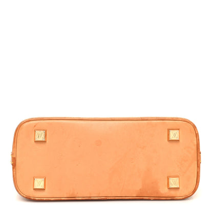 Louis Vuitton Vinyl Cabas Ambre PM 13 of 16