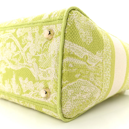 Christian Dior Canvas Toile De Jouy Reverse Embroidered Medium Lady D-Lite Green 9 of 11