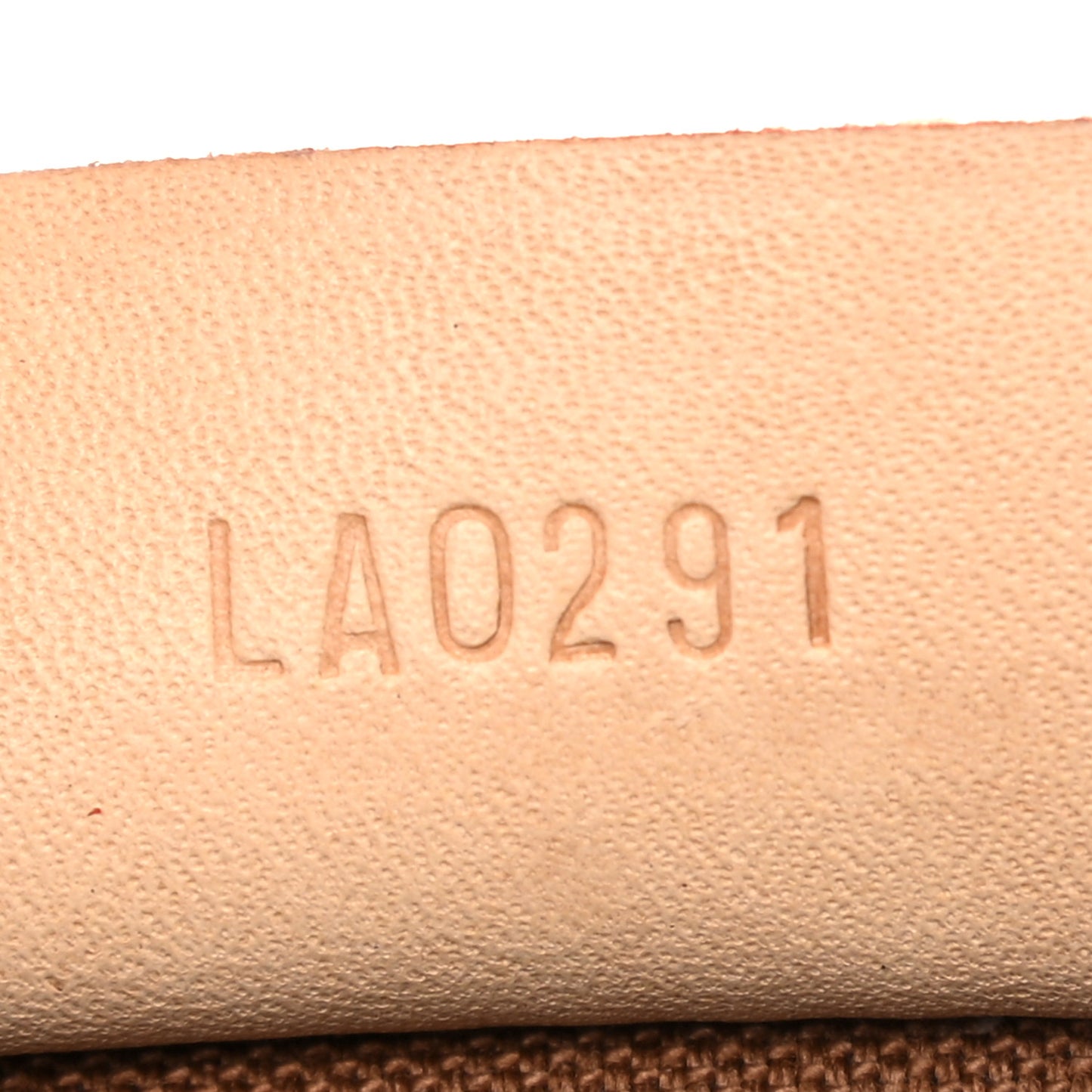 Monogram Nano Speedy