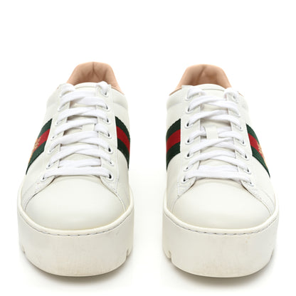 Gucci Calfskin Web Bee Embroidered Womens Ace Platform Sneakers 39 White 2 of 9