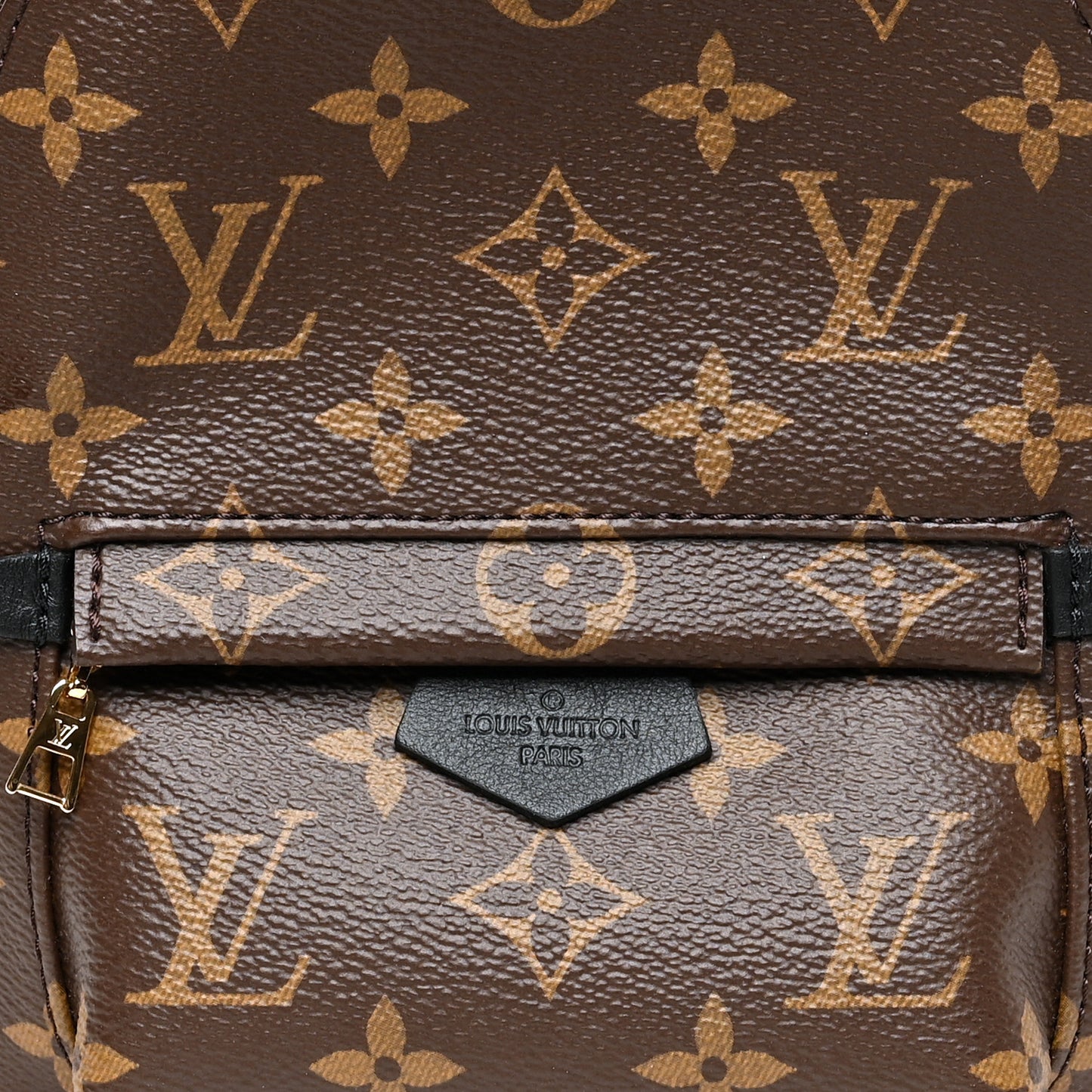 Monogram Palm Springs Backpack Mini