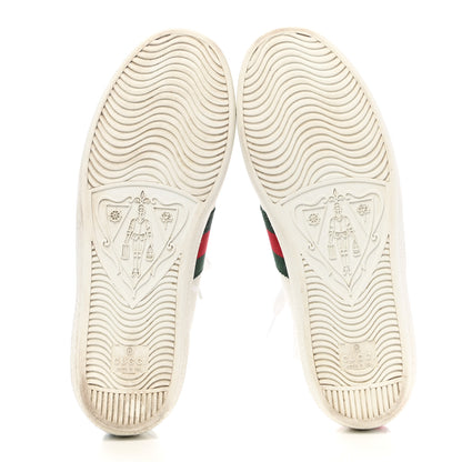 Gucci Calfskin Ayers Bee Embroidered Womens Ace Sneakers 36.5 White Green 5 of 13