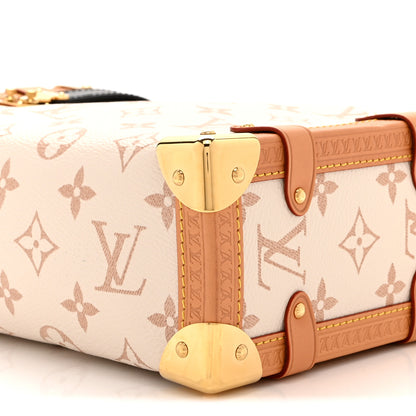 Louis Vuitton Monogram Dune Side Trunk 9 of 10