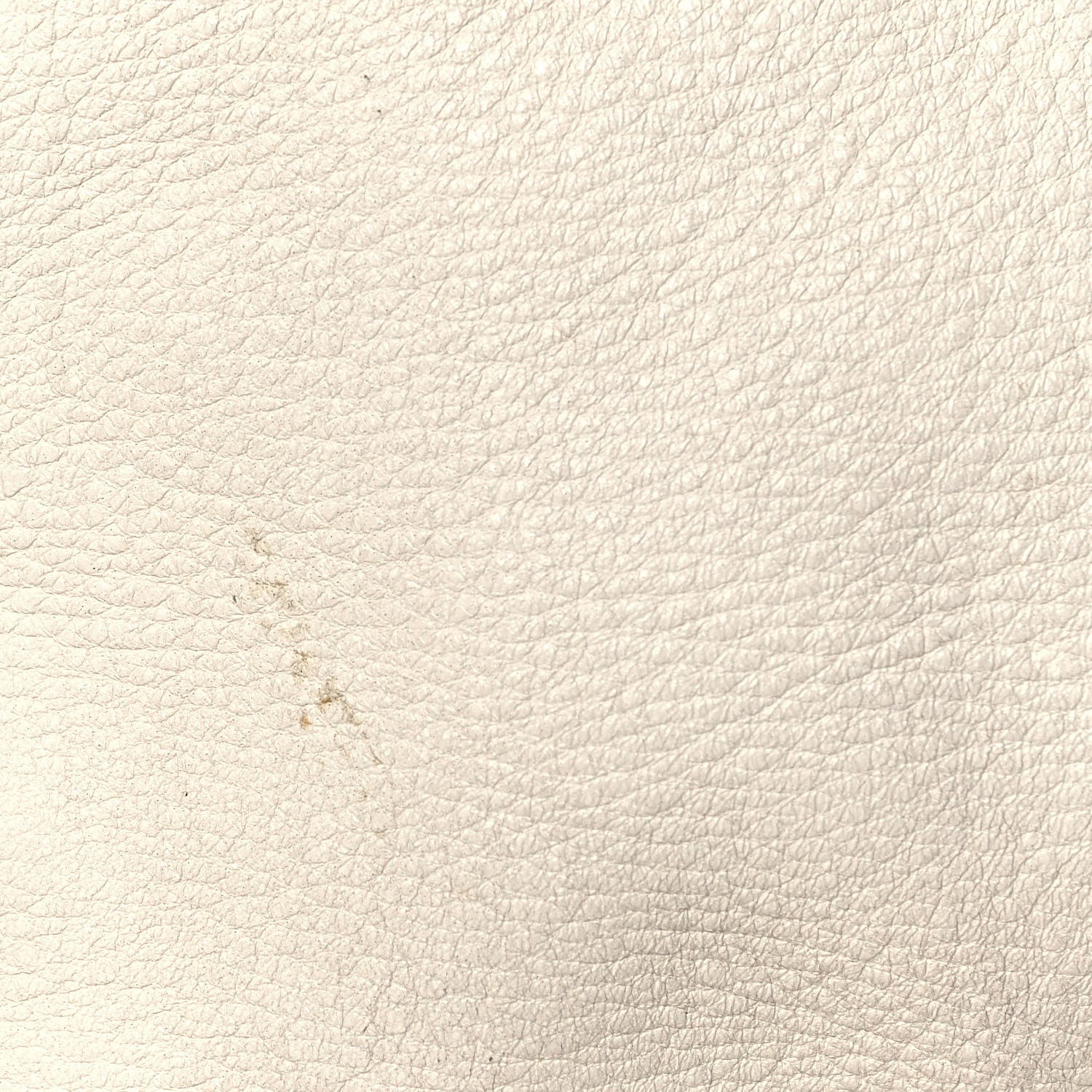 Prada Cervo Antik Shoulder Bag Talco 17 of 18