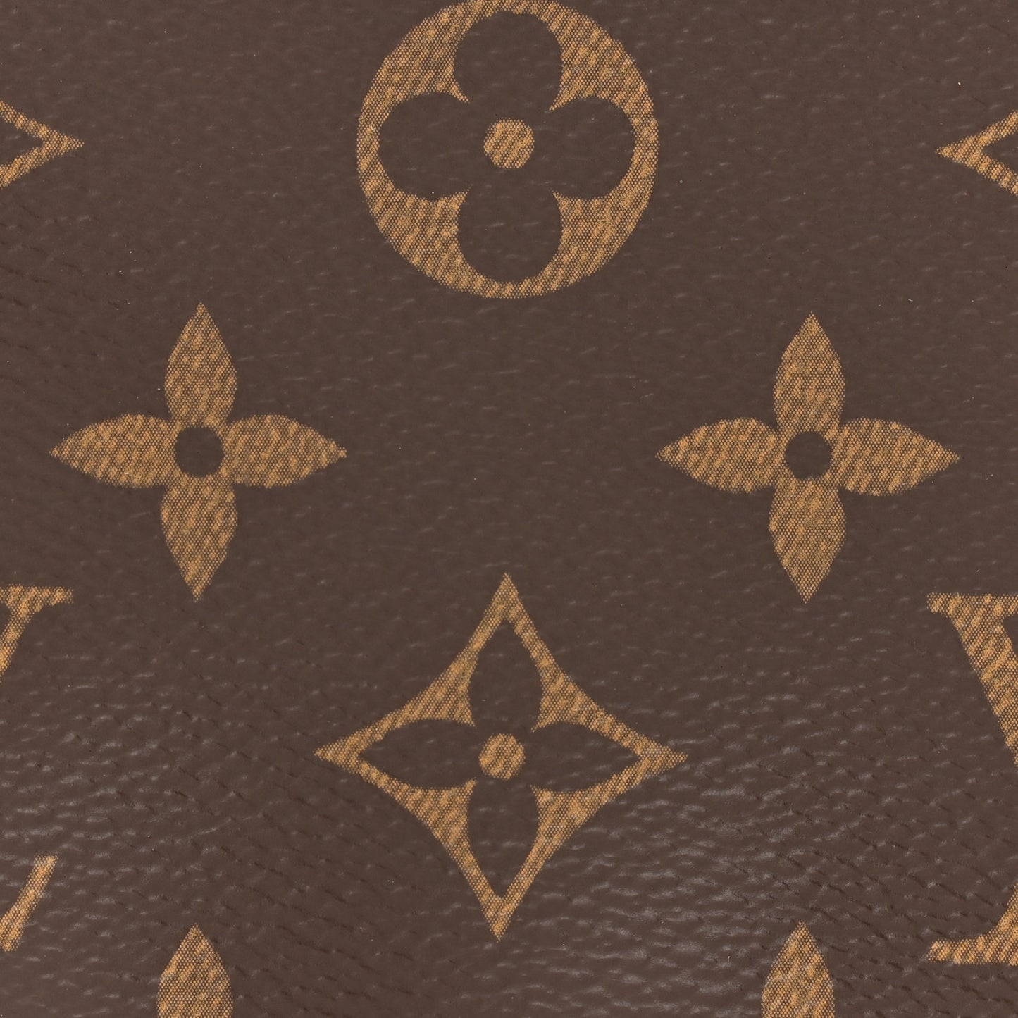 Monogram Mini Pochette Accessories