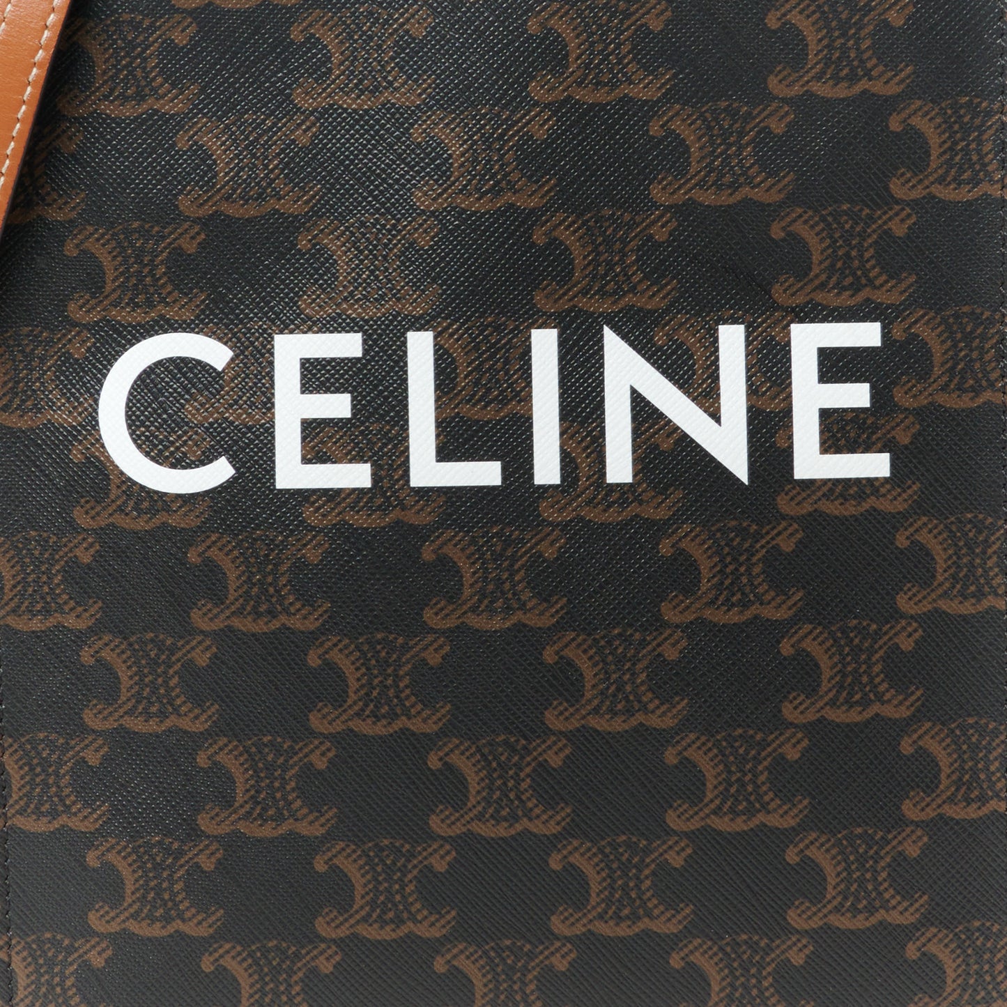 Triomphe Canvas Calfskin Mini Vertical Cabas Tan
