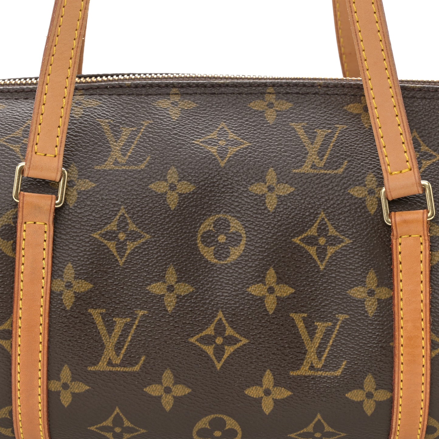 Monogram Papillon 30 with Companion