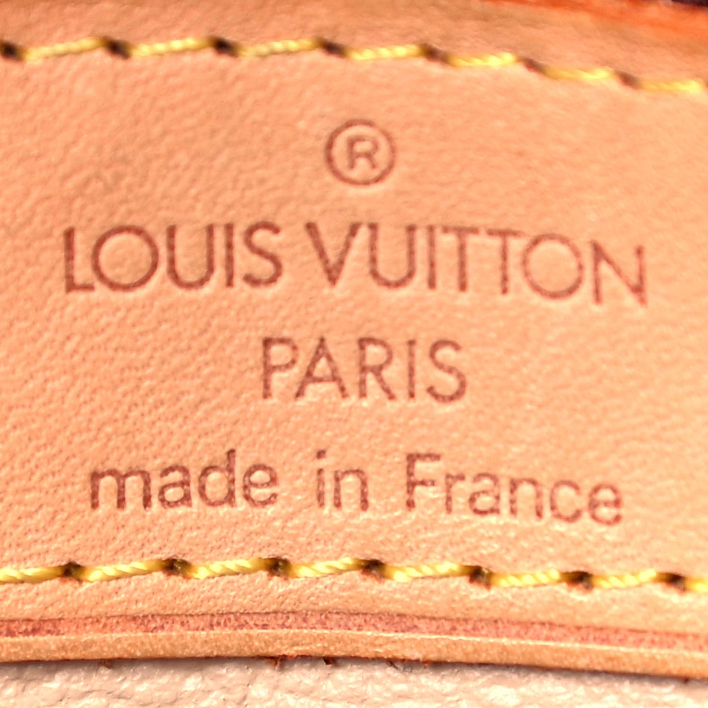 Monogram Petit Bucket 23