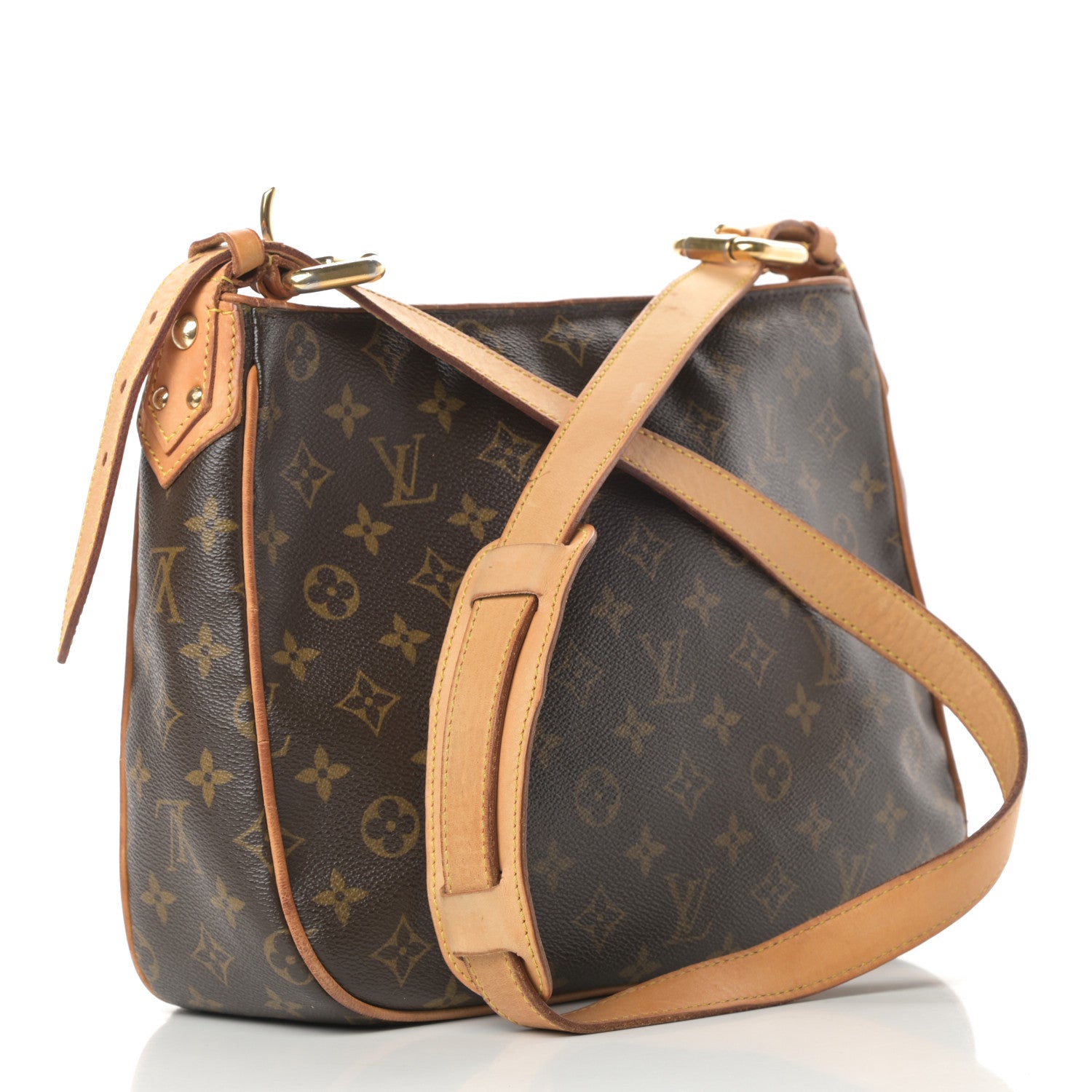 Louis Vuitton Monogram Hudson GM 3 of 22