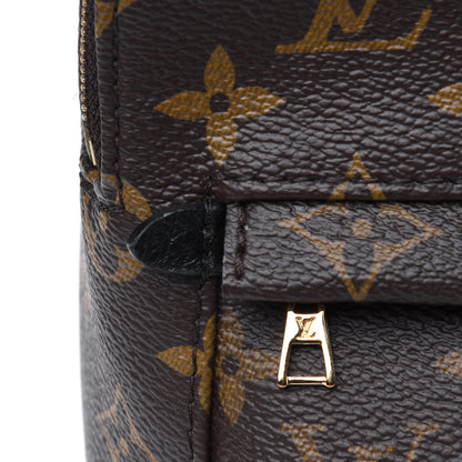 Louis Vuitton Monogram Palm Springs Backpack Mini 13 of 16