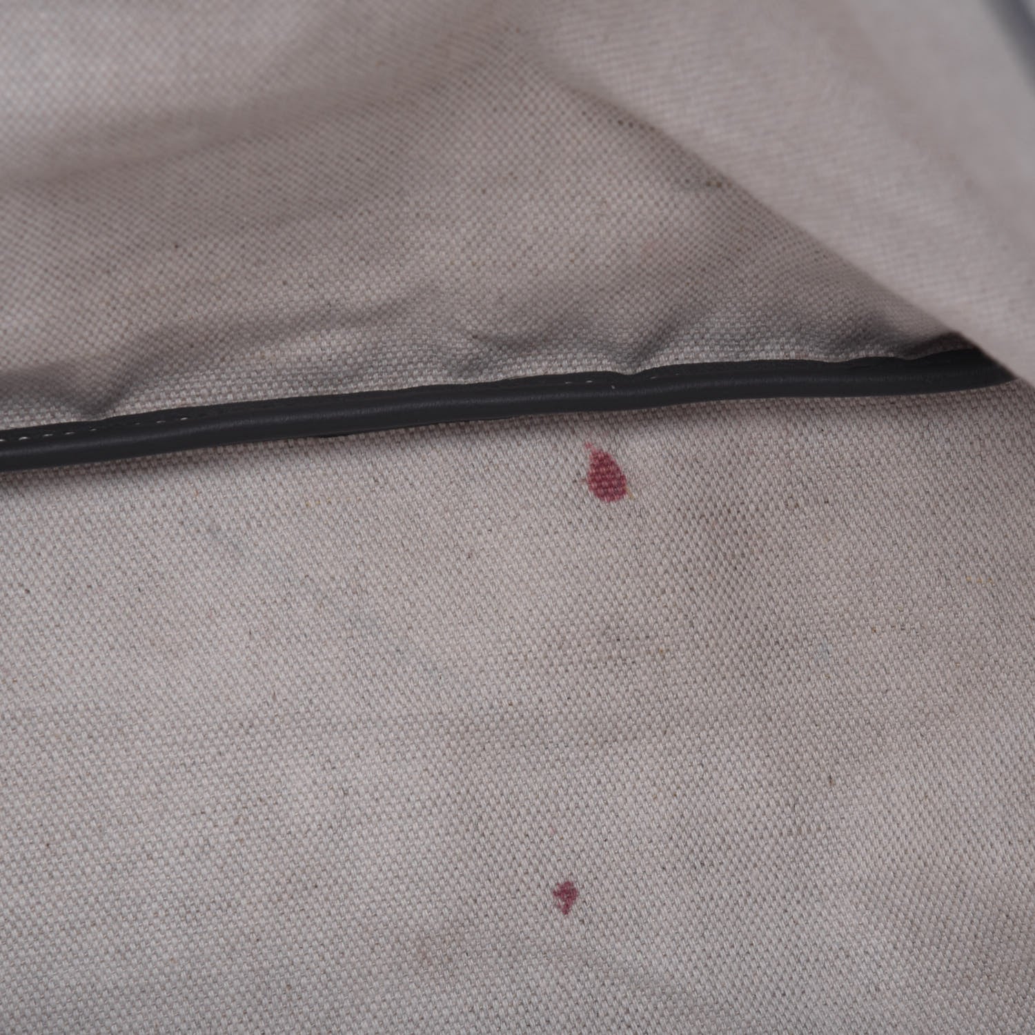 Goyard Goyardine Saint Louis PM Grey 7 of 15