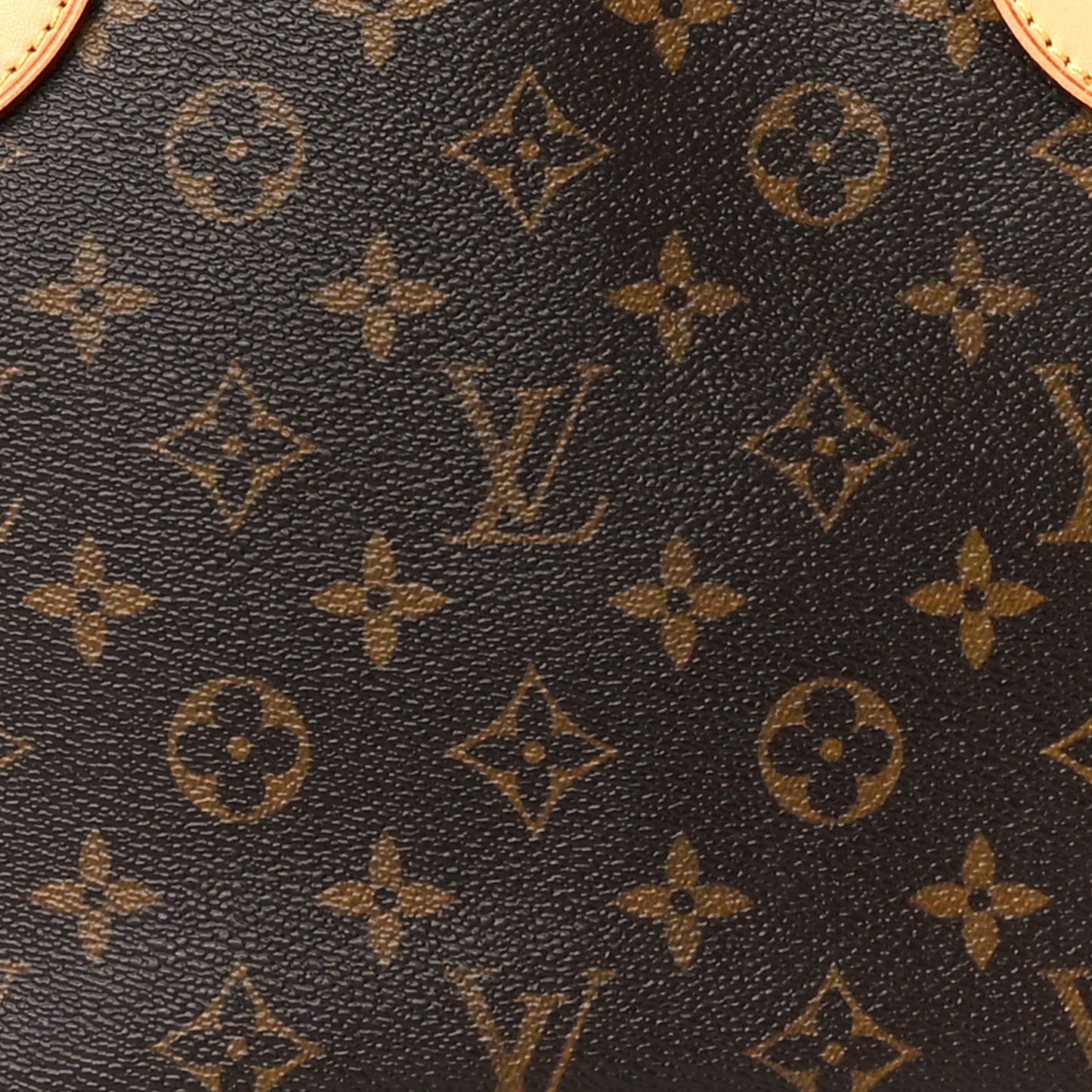 Monogram Neverfull PM