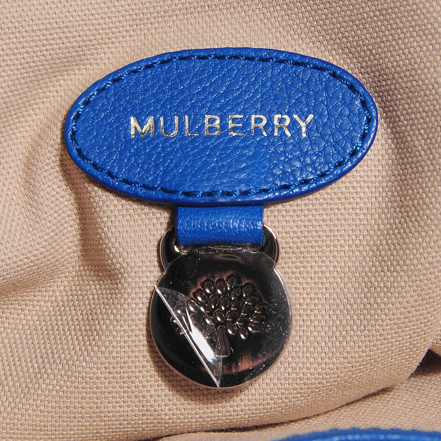 Mulberry Polished Buffalo Medium Alexa Bluebell 10 of 11