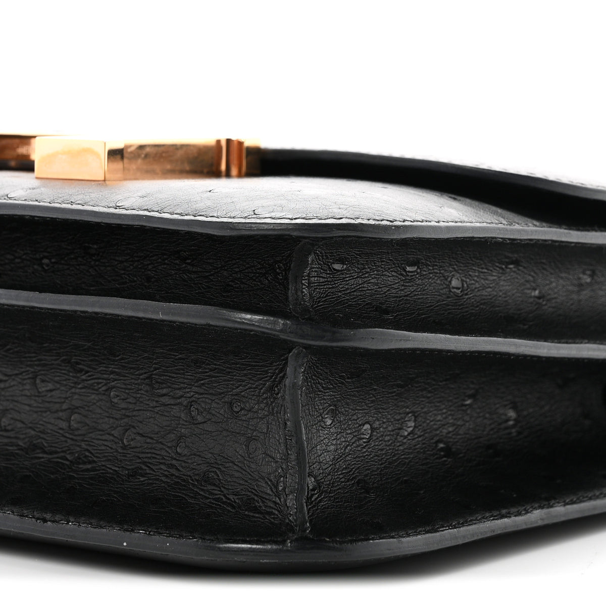 Ostrich Constance 24 Black
