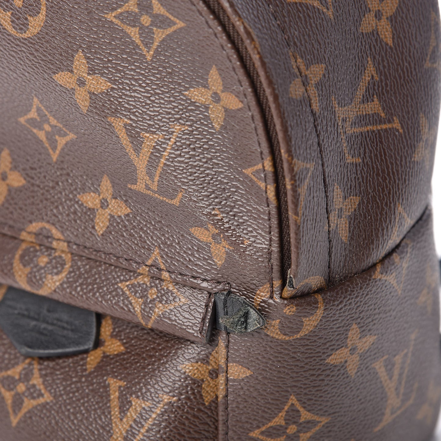 Monogram Palm Springs Backpack Mini