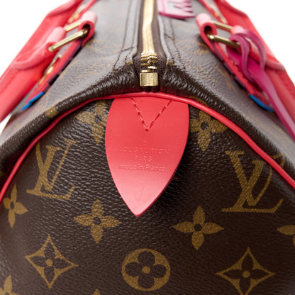 Louis Vuitton Monogram Totem Speedy 30 Flamingo 9 of 14