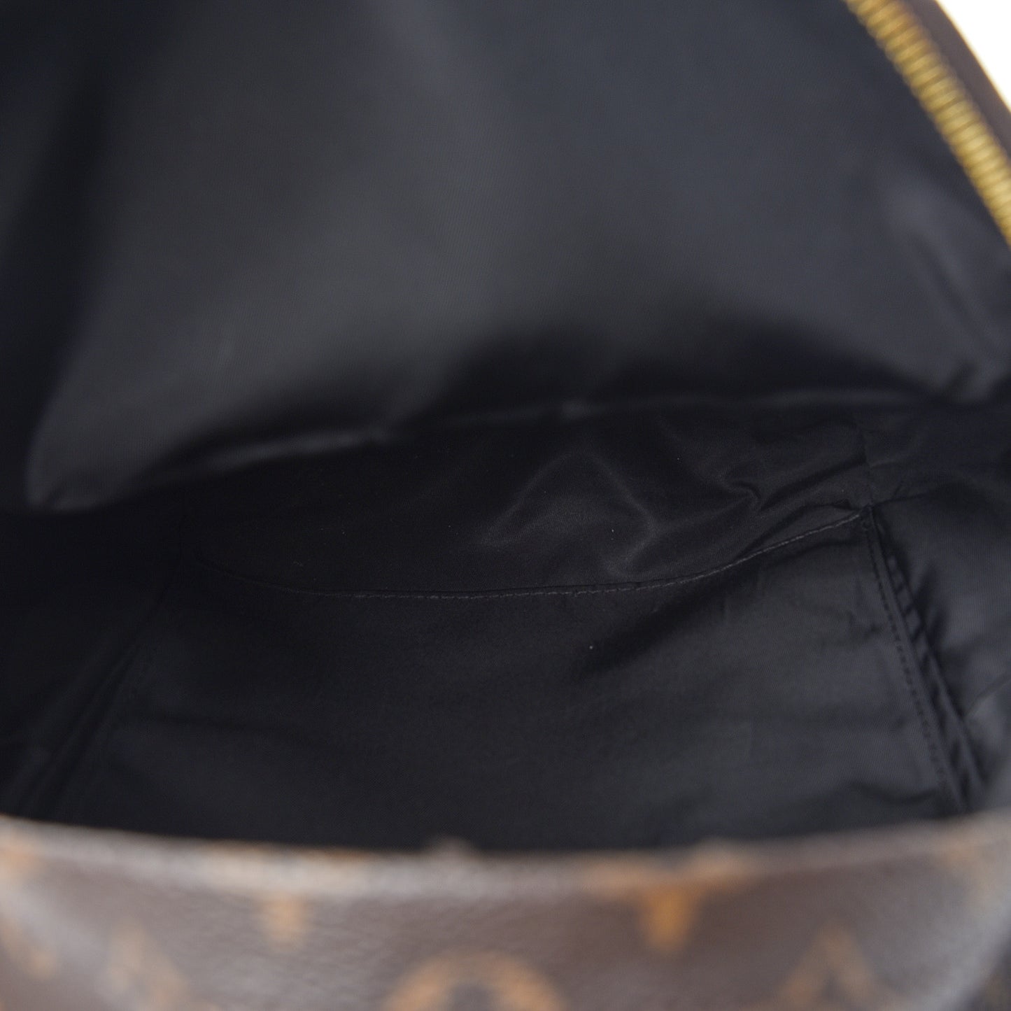 Monogram Palm Springs Backpack PM