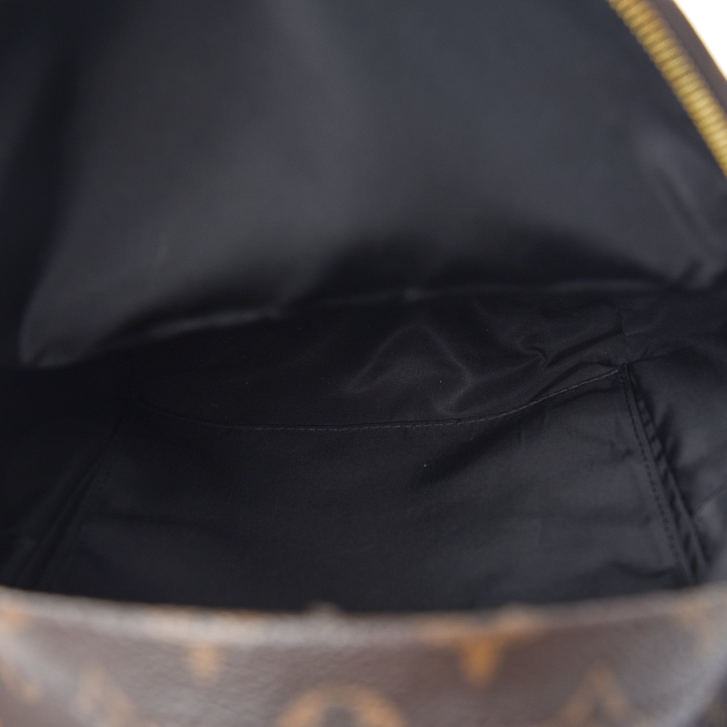 Louis Vuitton Monogram Palm Springs Backpack PM 4 of 9