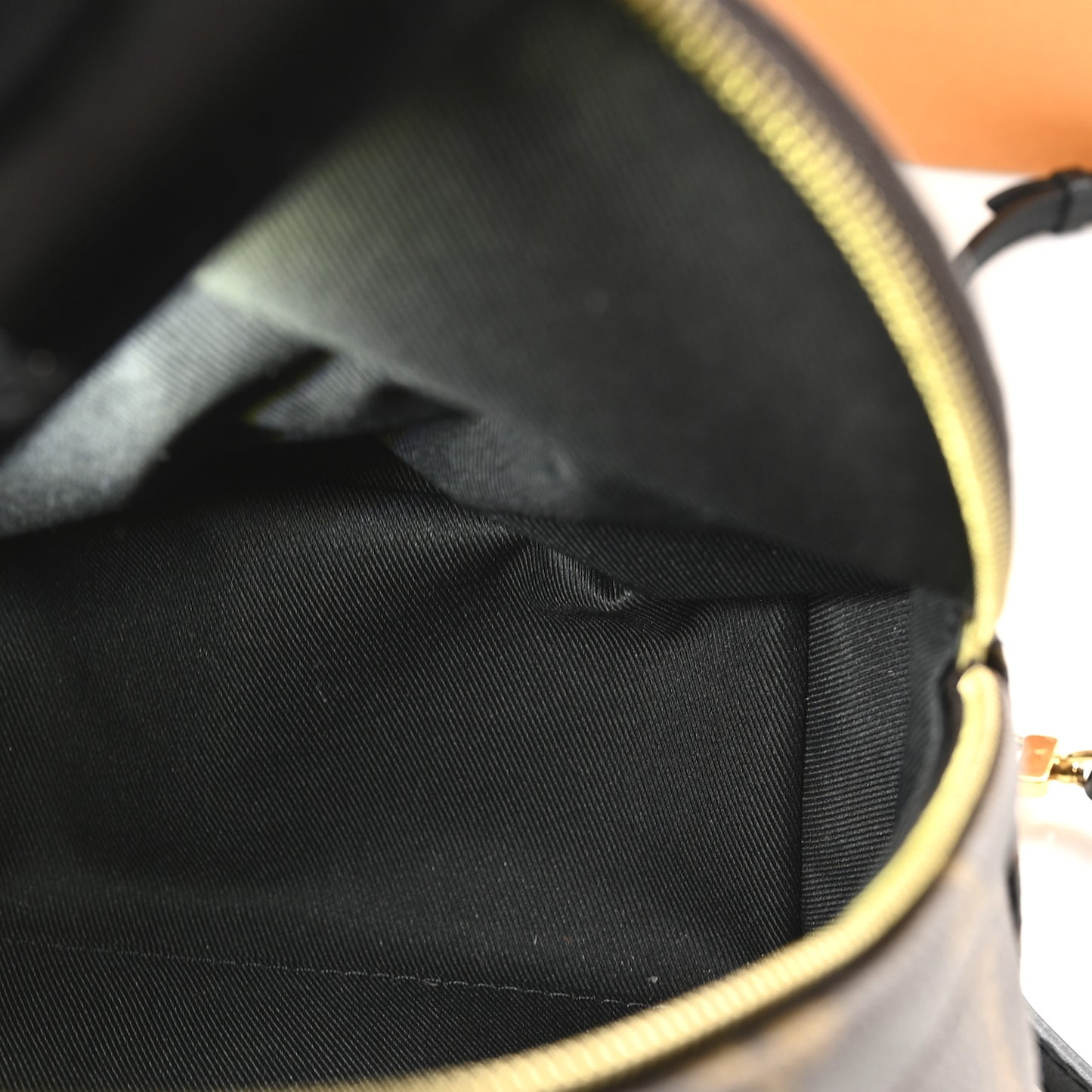 Monogram Palm Springs Backpack Mini