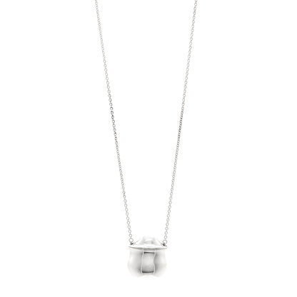 Tiffany Sterling Silver Elsa Peretti Bottle Inro Pendant Necklace 1 of 4