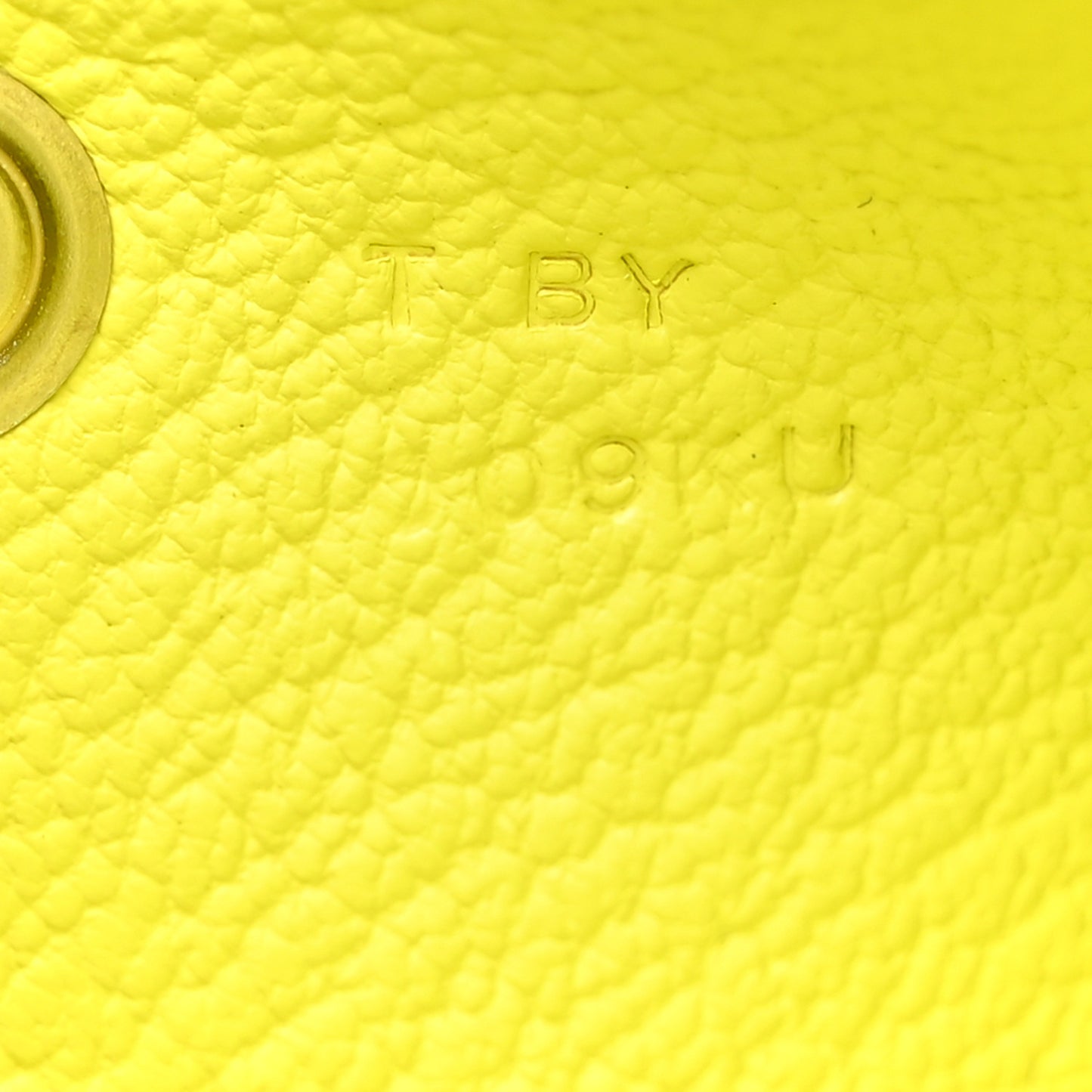 Chevre Mysore Calvi Card Case Lime