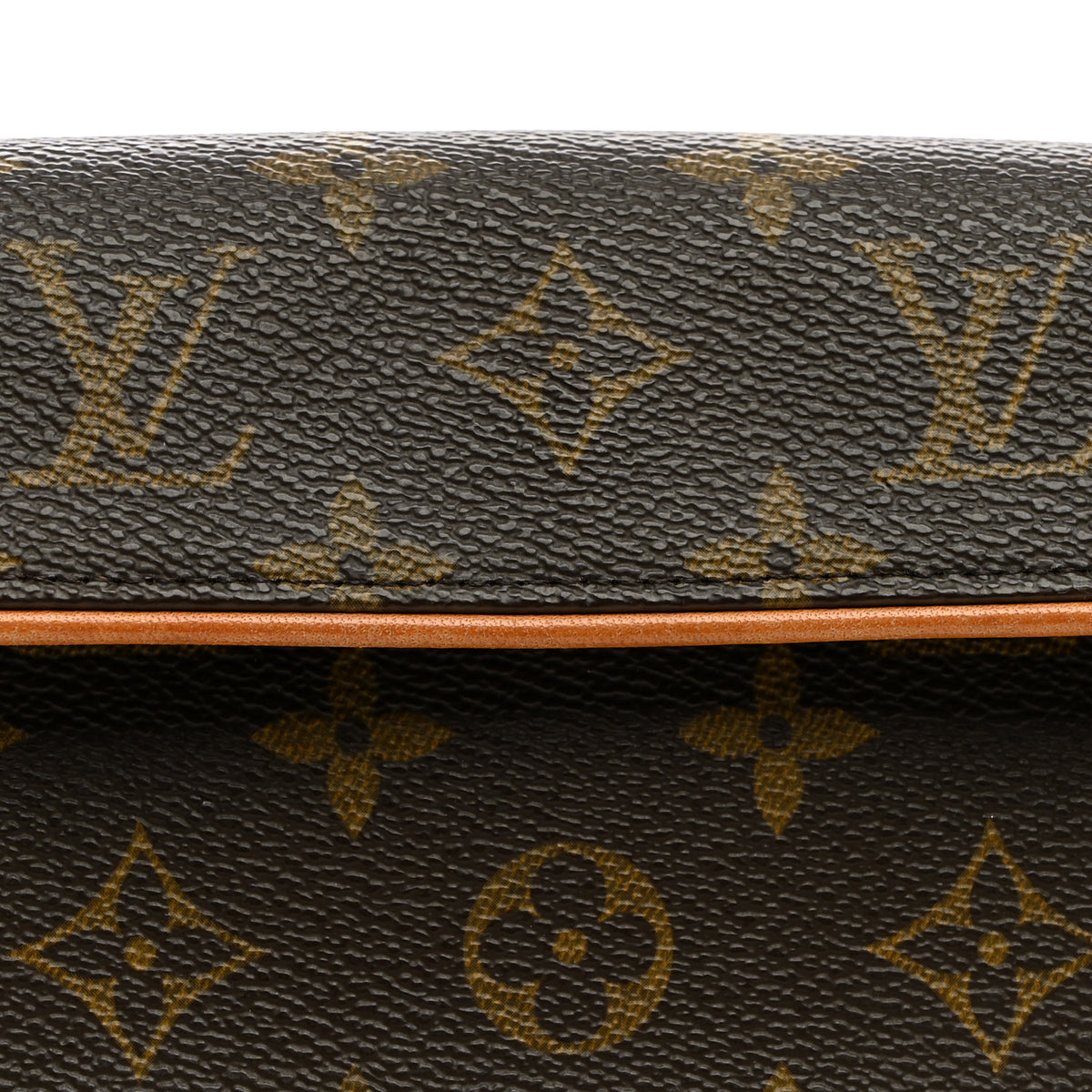 Monogram Pochette Florentine M