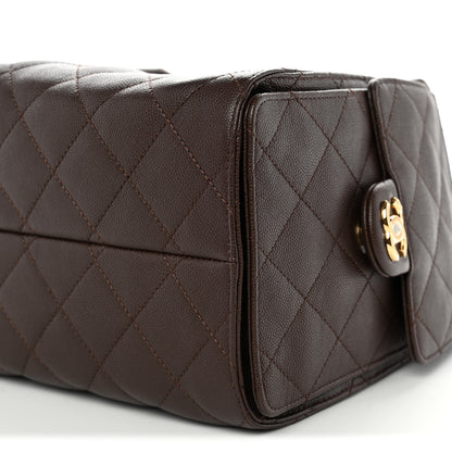 Chanel Caviar Quilted Small Chanel 25 Handbag Dark Brown 10 of 11