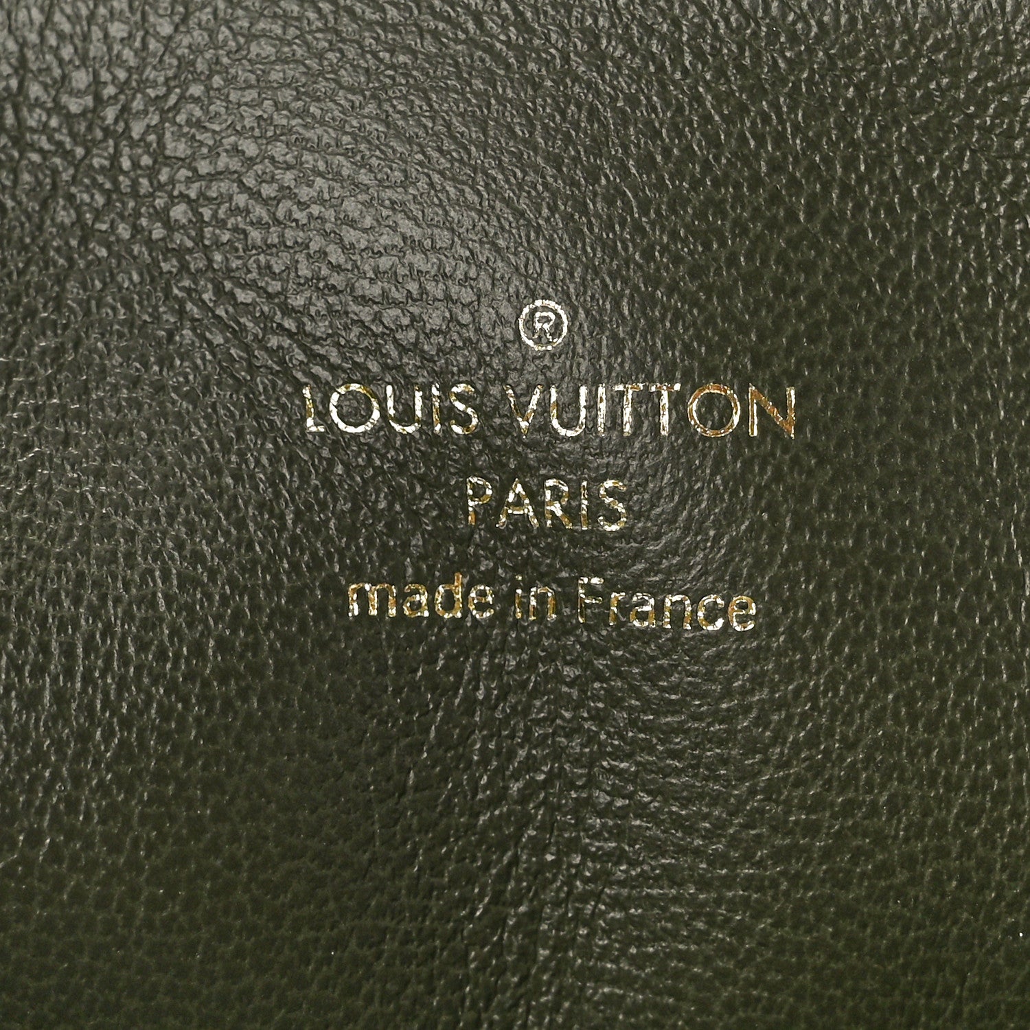 Louis Vuitton Lambskin Embossed Monogram Coussin MM Khaki 6 of 9