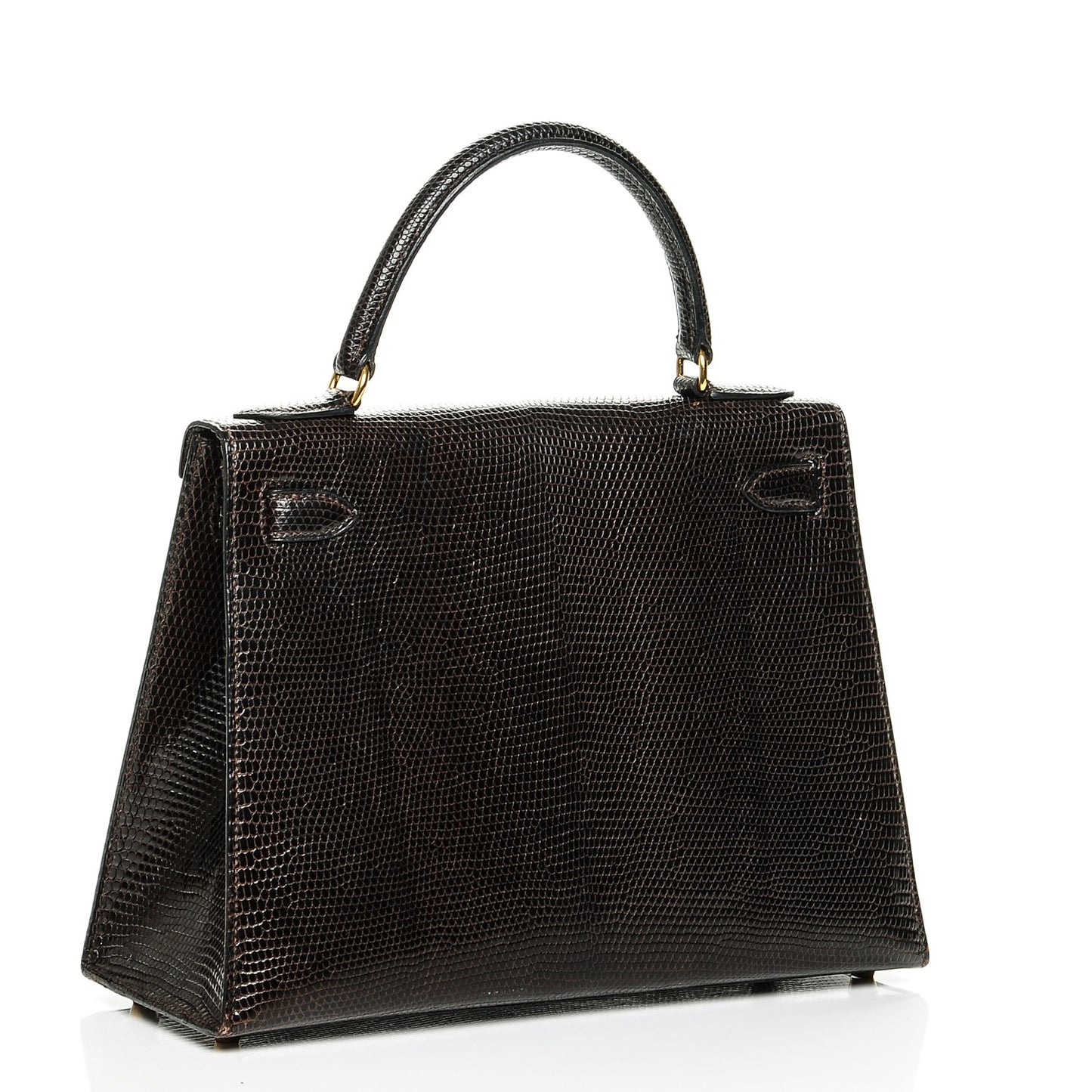 Shiny Lizard Kelly 28 Havane