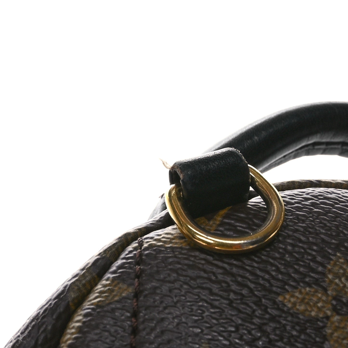 Monogram Palm Springs Backpack Mini