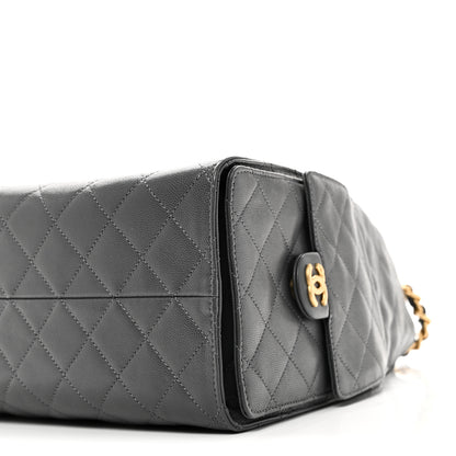 Chanel Caviar Quilted Medium Chanel 25 Handbag Dark Grey 11 of 12