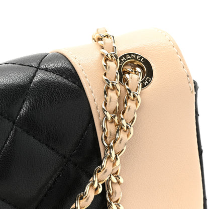 Chanel Sheepskin Quilted Small Vintage Mademoiselle Flap Beige Black 12 of 19