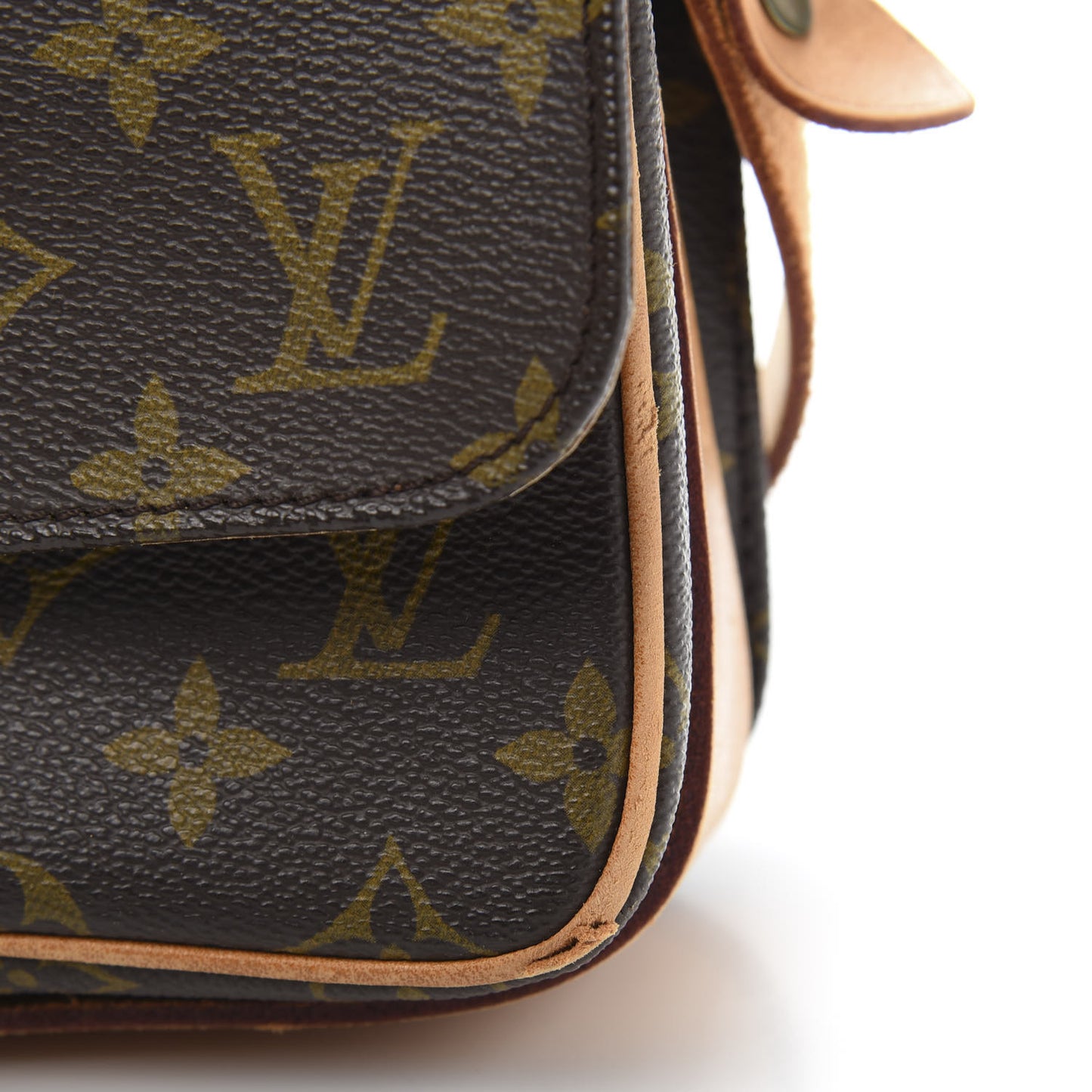 Monogram Cartouchiere 22