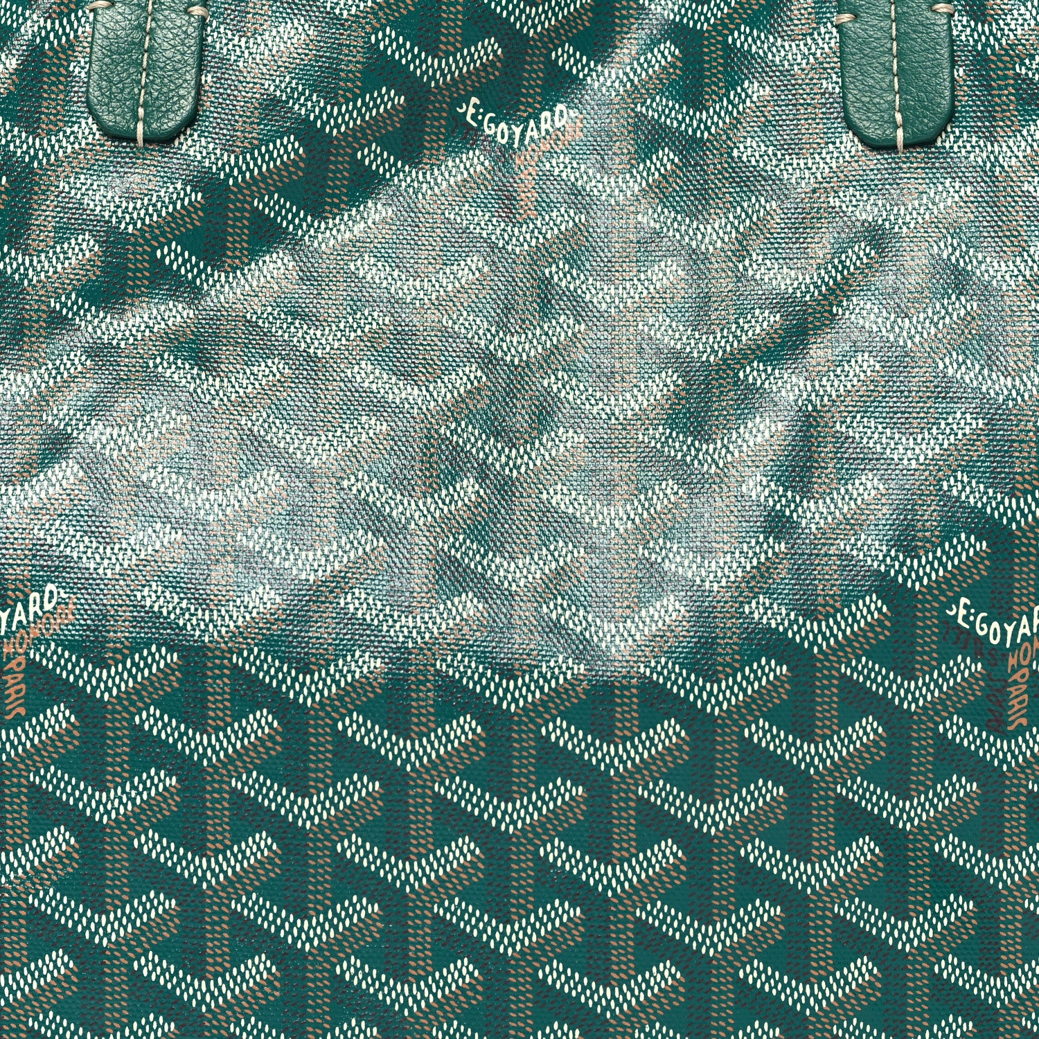 Goyard Goyardine Saint Louis PM Green 8 of 10