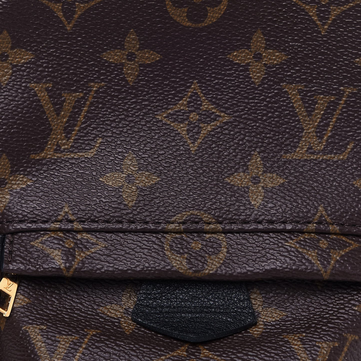Monogram Palm Springs Backpack Mini