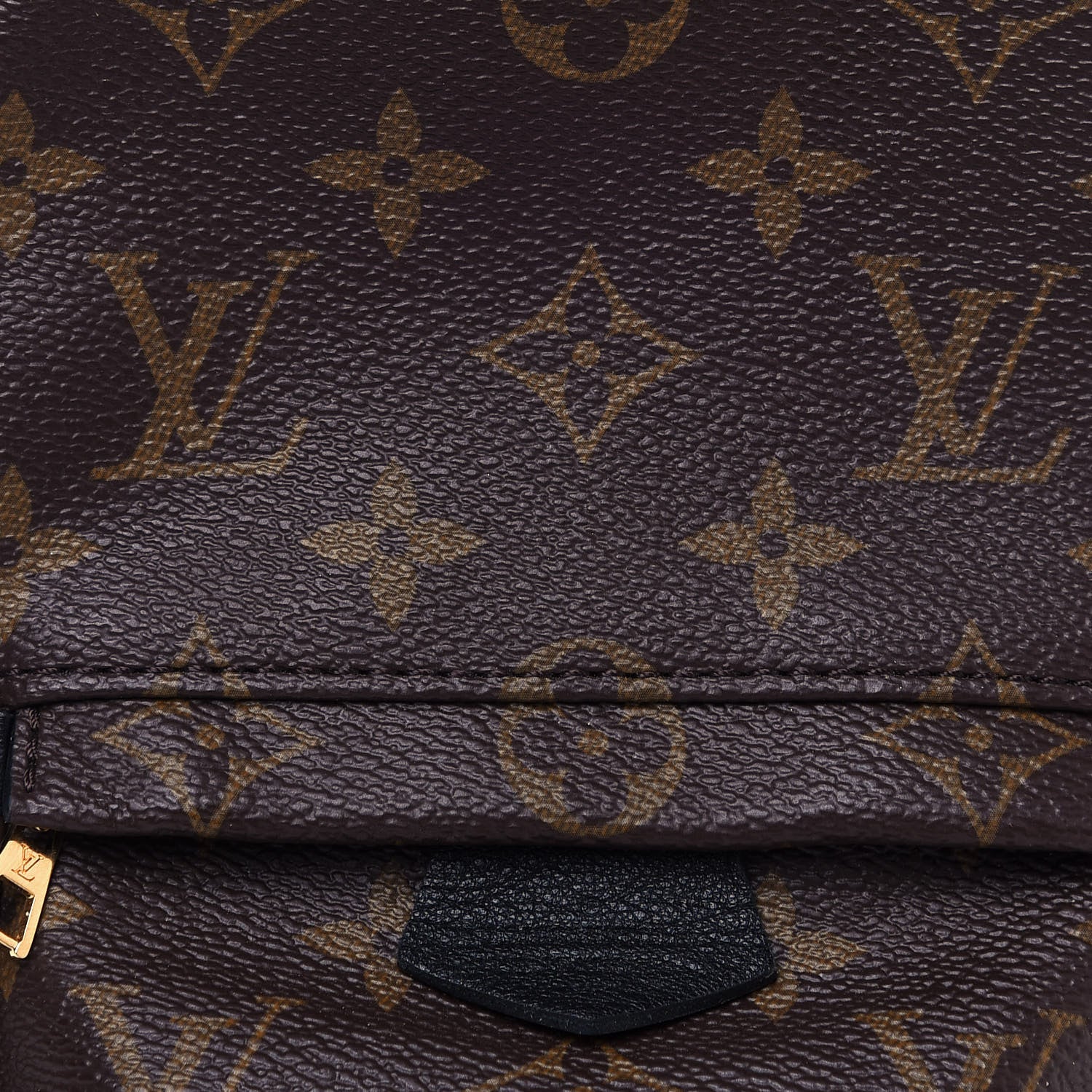 Louis Vuitton Monogram Palm Springs Backpack Mini 7 of 11