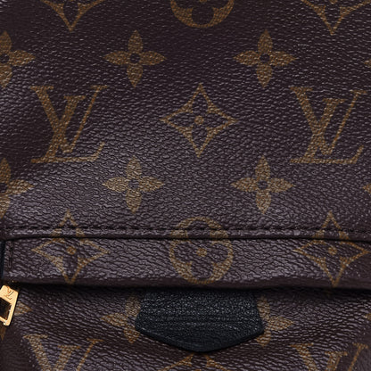 Louis Vuitton Monogram Palm Springs Backpack Mini 7 of 11