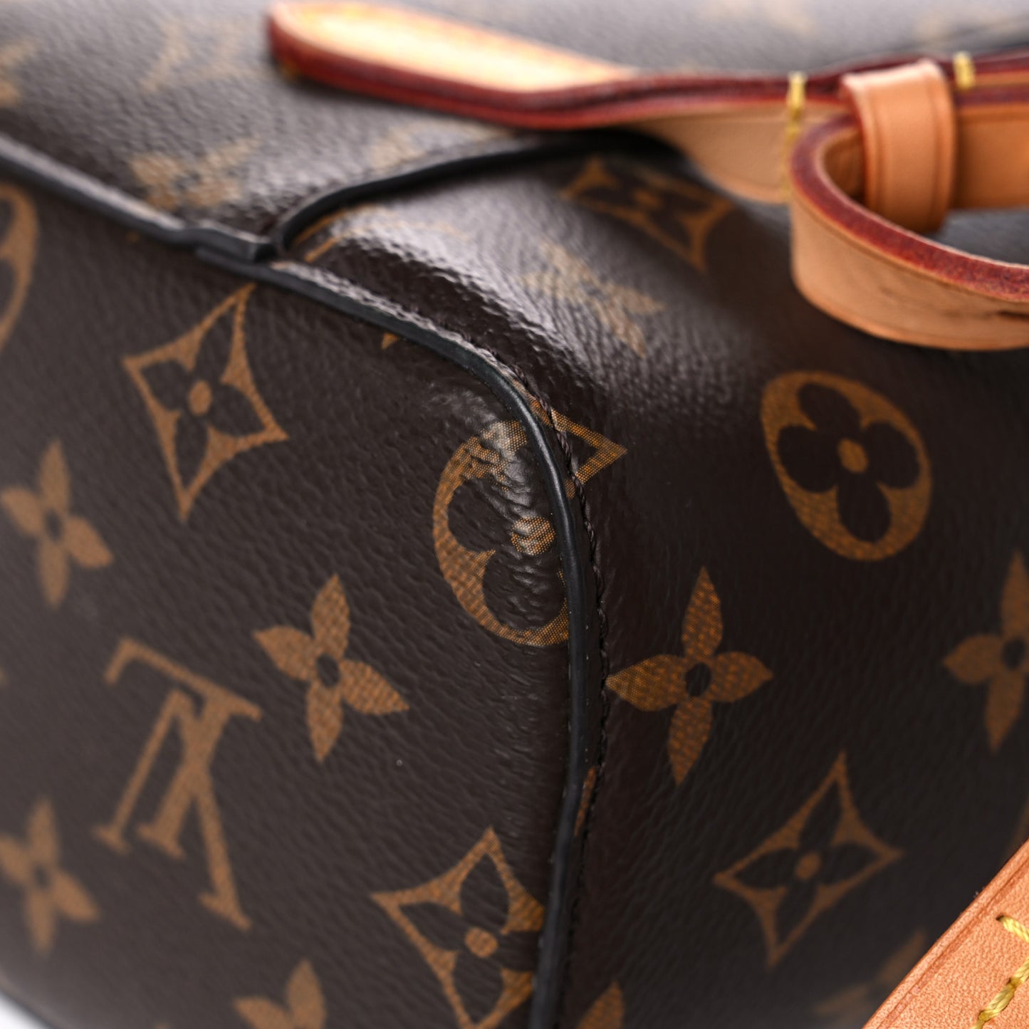 Monogram Montsouris NM Backpack