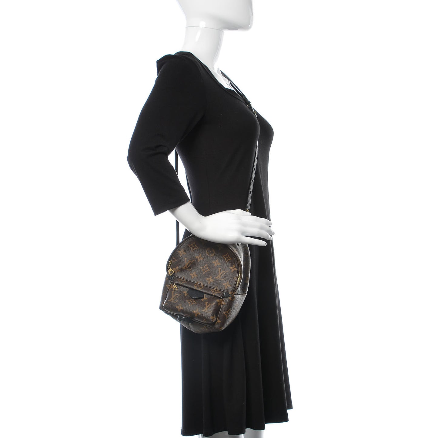 Monogram Palm Springs Backpack Mini