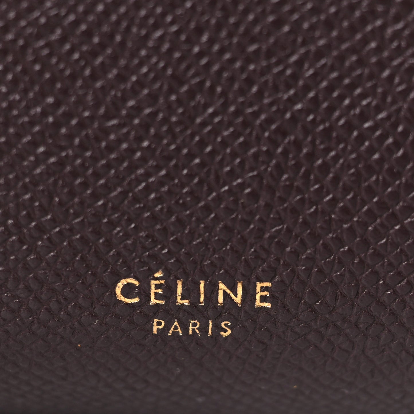 Grained Calfskin Nano Belt Bag Brown