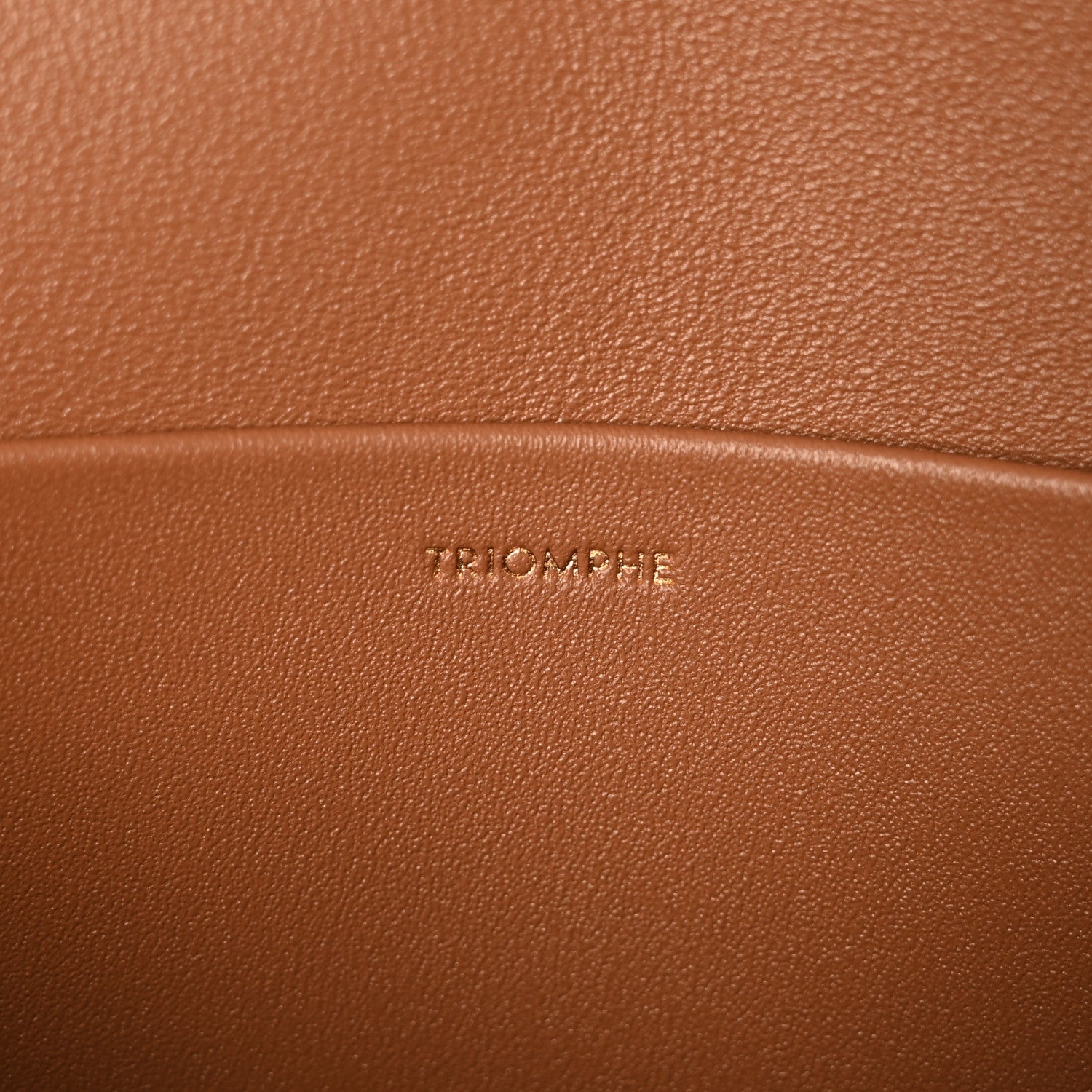 Celine Shiny Calfskin Medium Triomphe Bronze 7 of 10