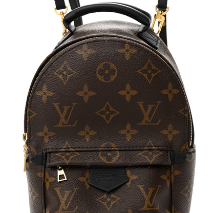Louis Vuitton Monogram Palm Springs Backpack Mini 8 of 10
