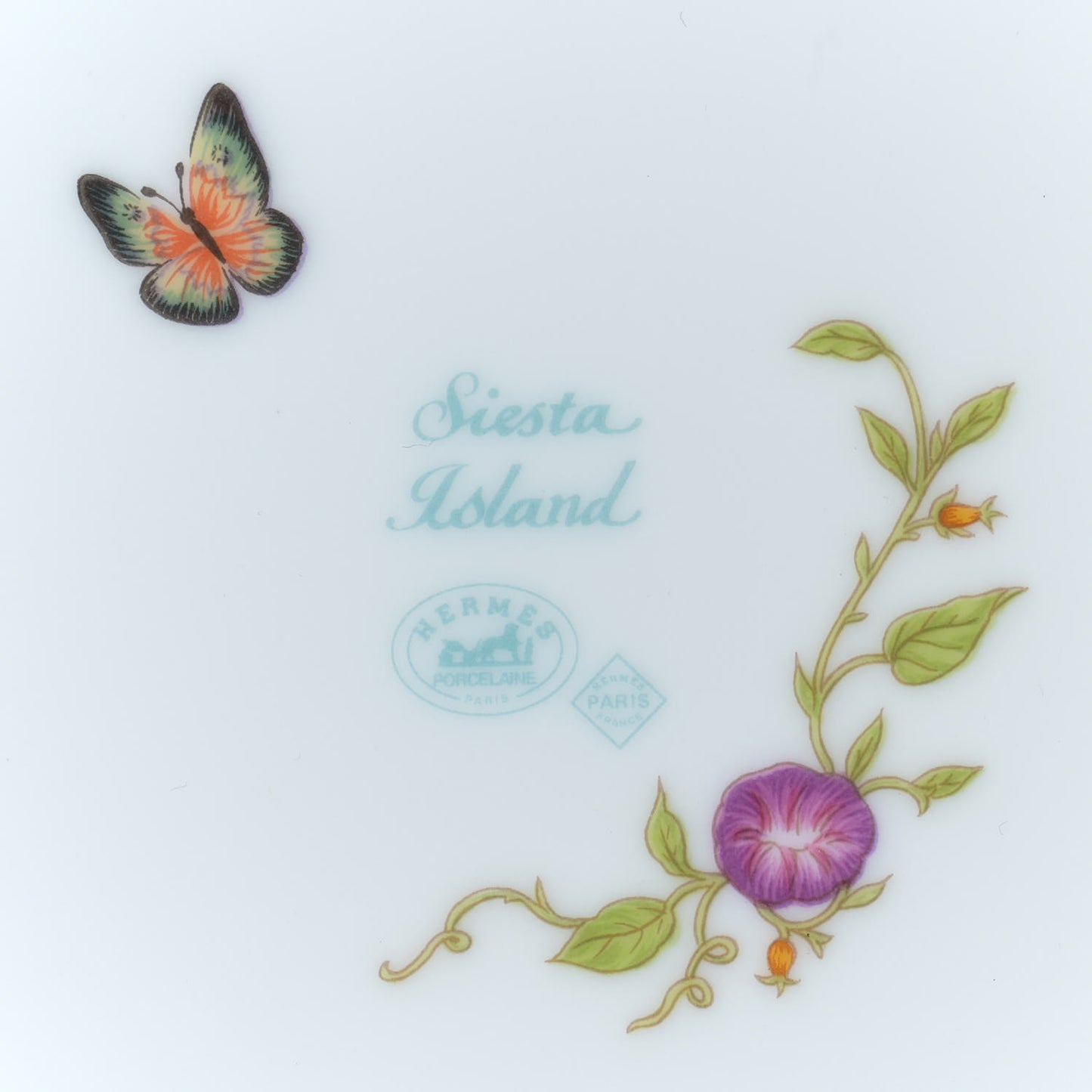 Porcelain La Siesta Dessert Plate Set of 2