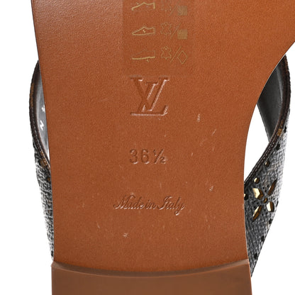 Louis Vuitton Monogram Sunny Flat Thong Sandals 36.5 Brown 7 of 8
