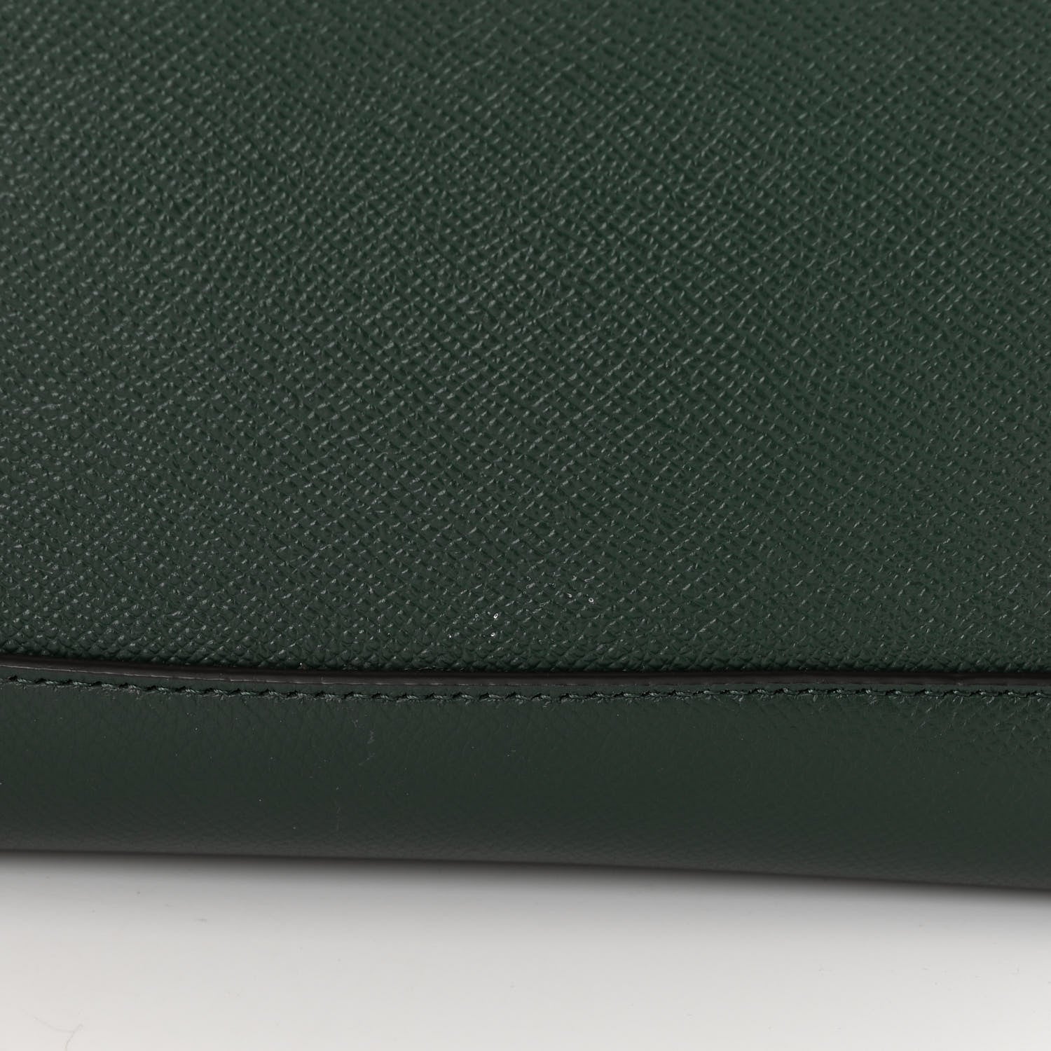 Celine Grained Calfskin Mini Belt Bag Amazone 14 of 15