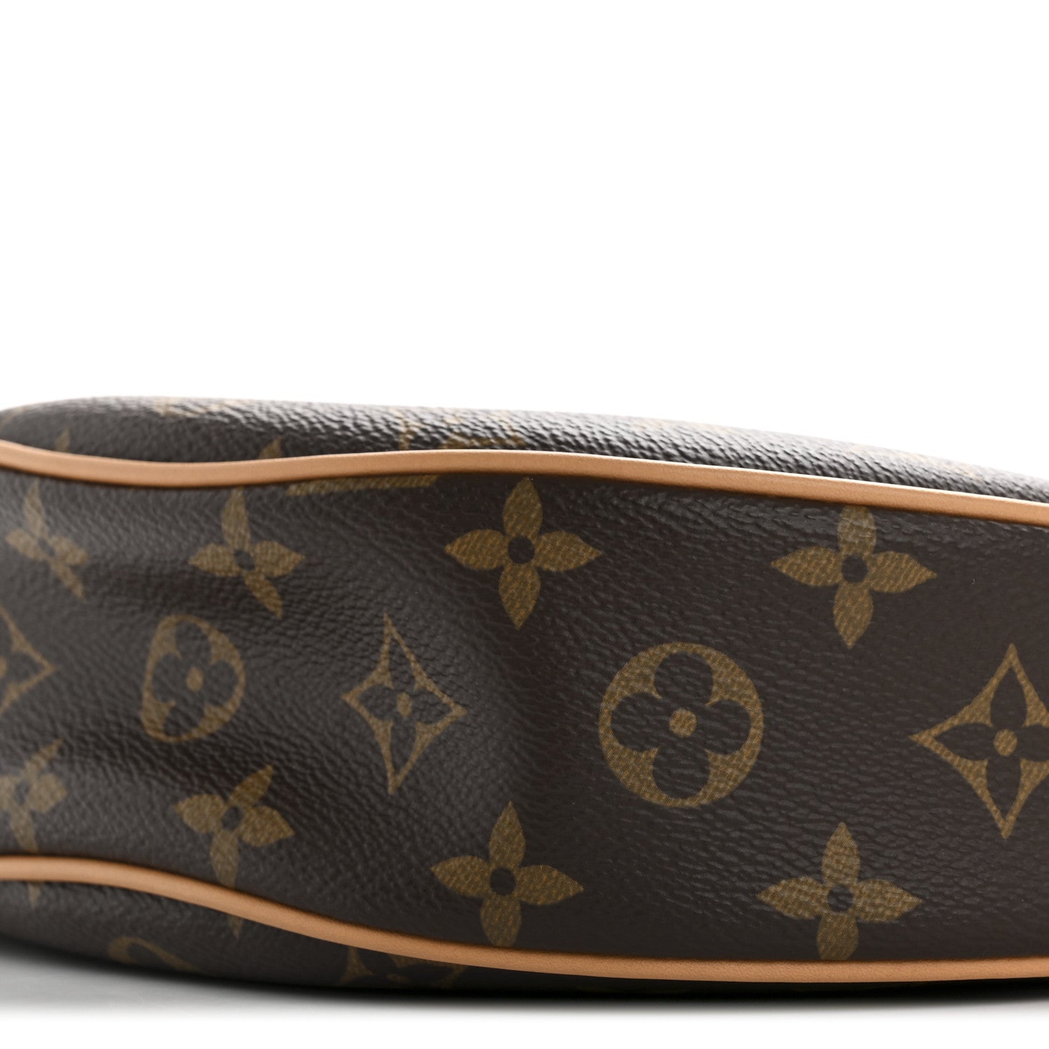Louis Vuitton Monogram Loop 9 of 11