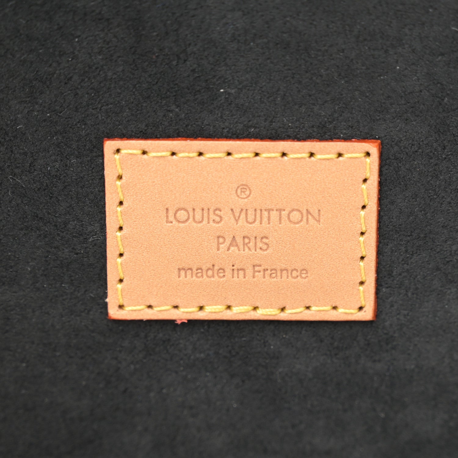 Louis Vuitton Monogram Giant Cannes 6 of 9