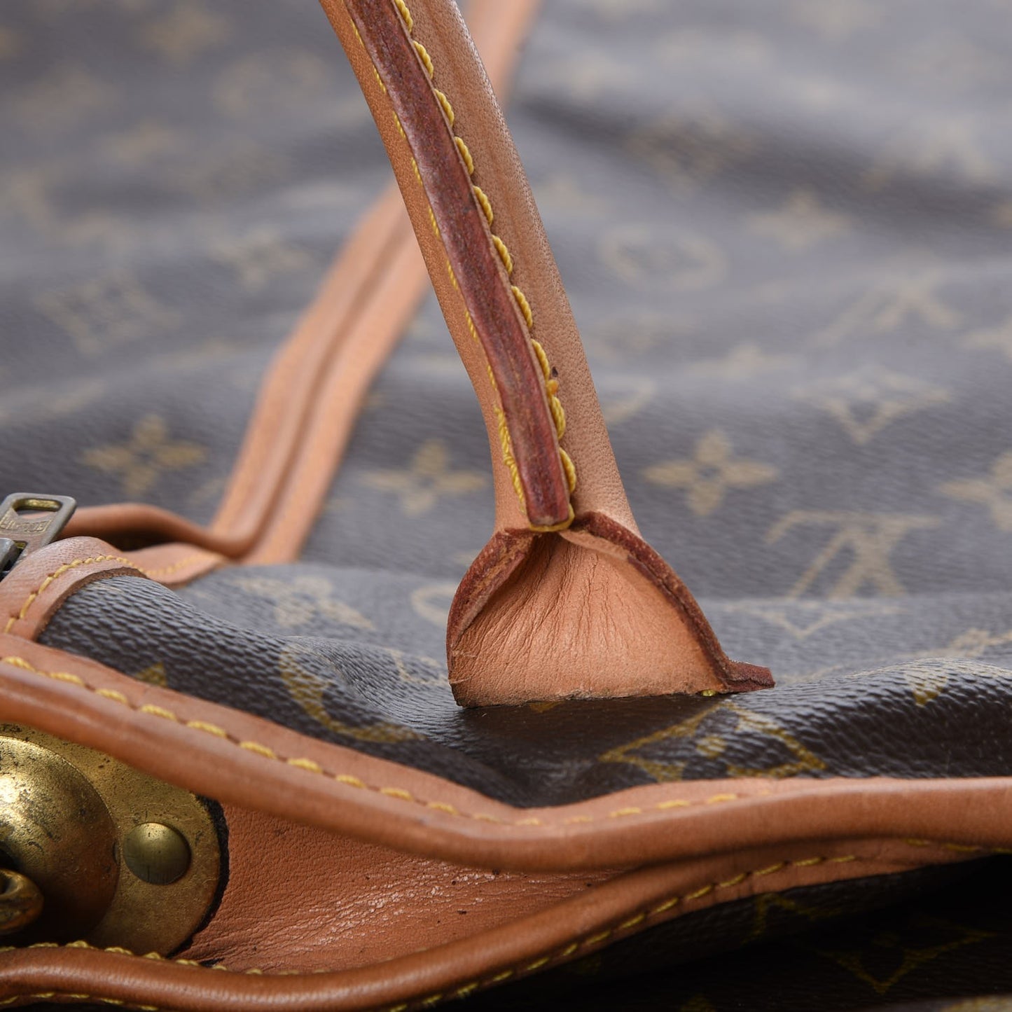 Monogram Garment Cover